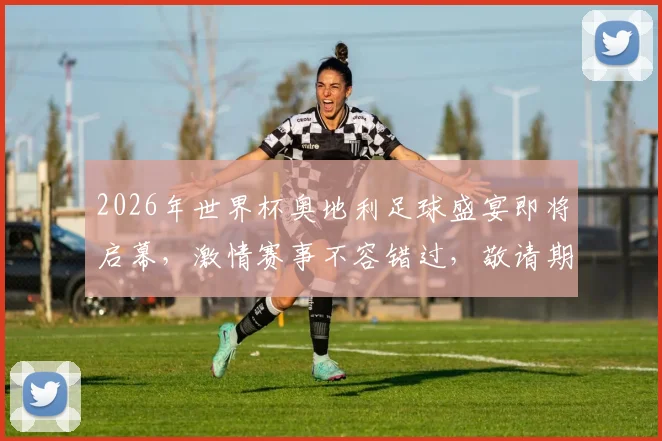 2026年世界杯奥地利足球盛宴即将启幕，激情赛事不容错过，敬请期待